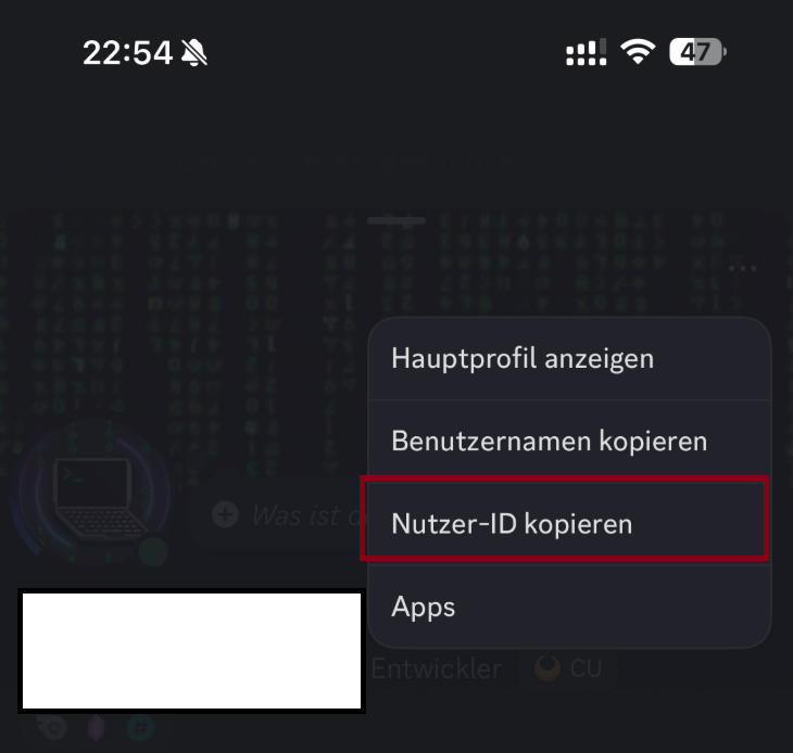 Discord Anleitung Handy 6